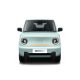 GEELY Panda Mini EV Cheap Price New Energy Electric Car Made in China